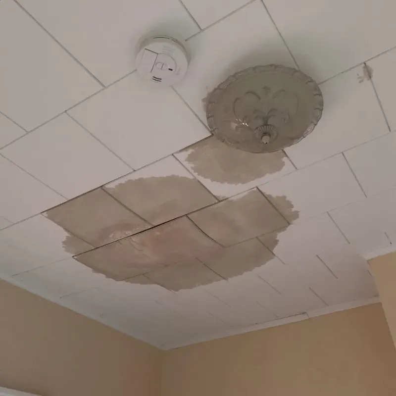Ceiling Water Damage Repair in Virginia City, MT