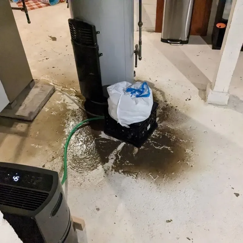 Sewage Backup Cleanup Service in Virginia City, MT